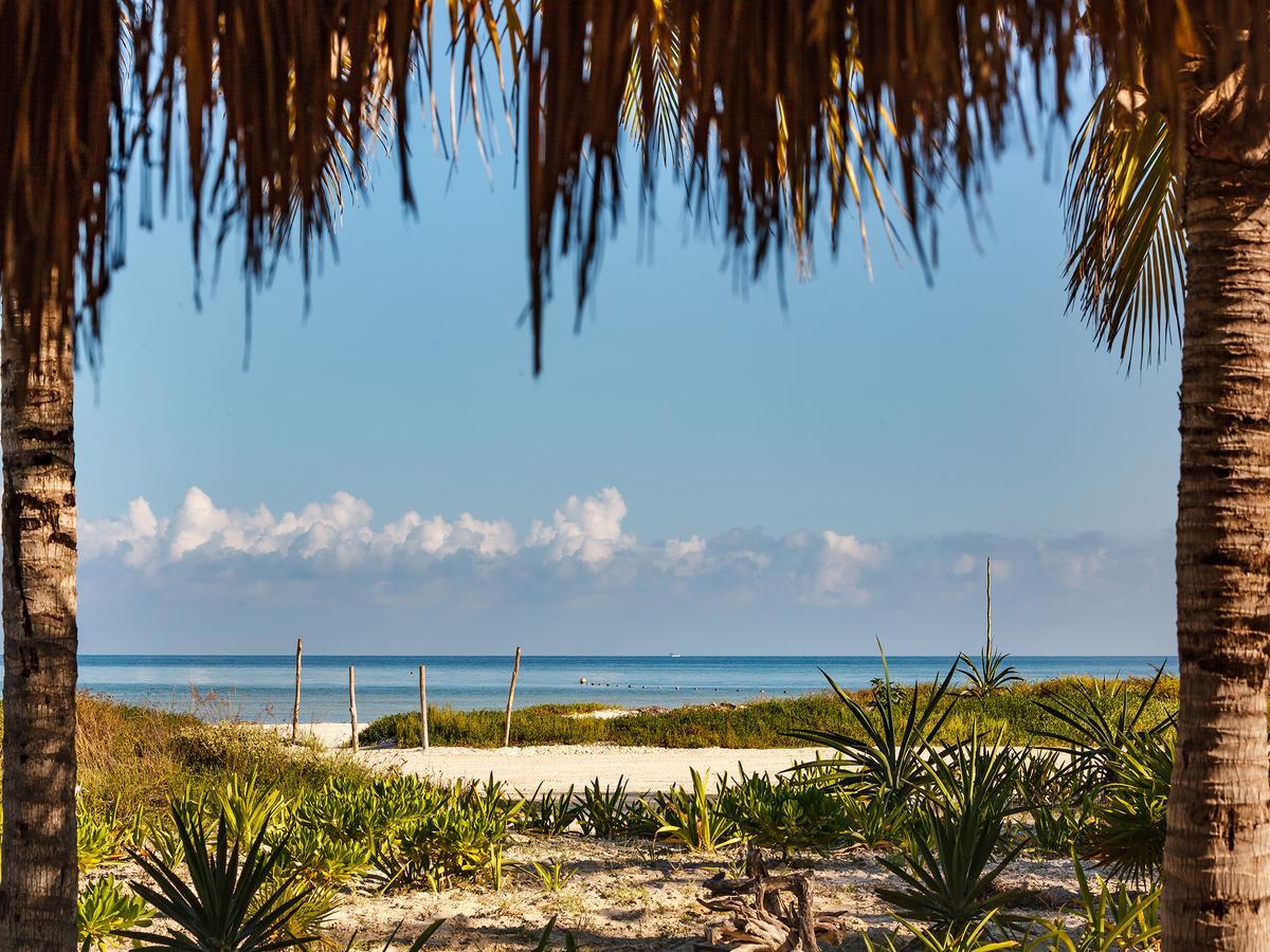 Villas Hm Palapas Del Mar Isla Holbox Ngoại thất bức ảnh